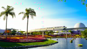 Book a Charter Flight & Travel to Orlando With These Helpful Tips